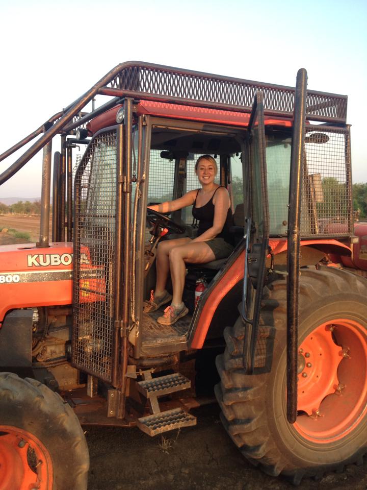 Kununurra Farming